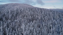 Aerial view of snowy winter forest
