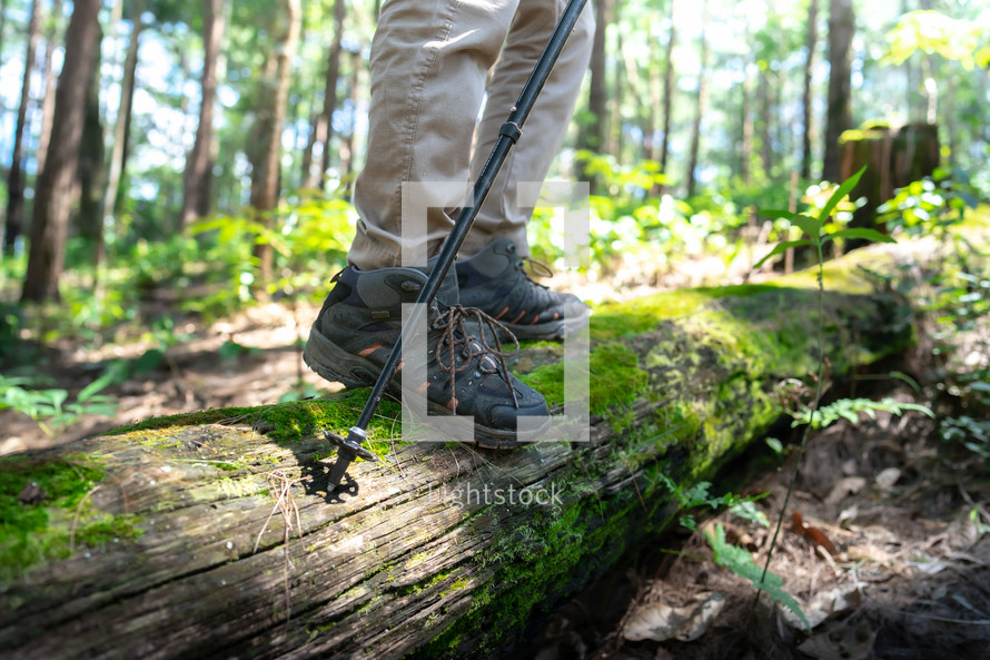 Close up shoe, Man walking on a log,hikers on their adventure in forest.
