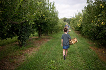 a girl walking in an apple orchard carrying a basket 