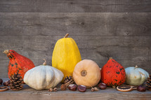 autumn gourds 