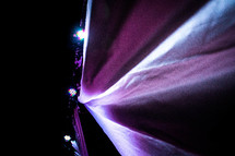 purple stage lights 
