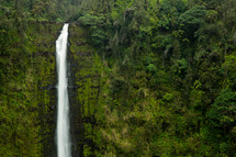 tropical waterfall 
