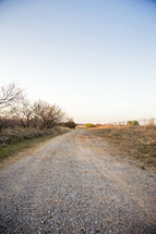 Gravel Road Lined by Mesque Trees