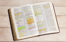 highlighted pages of an opened Bible 