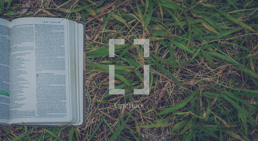 A Bible lying in grass