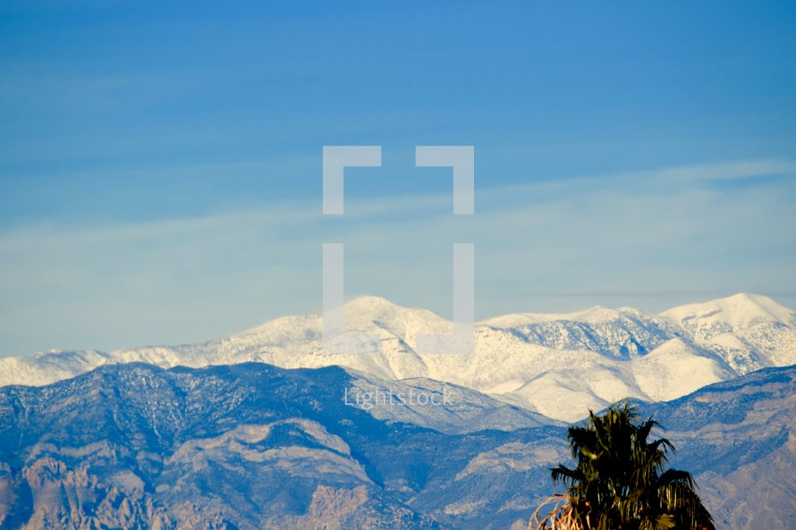 view of Snow capped mountains from the Las Vegas Valley and the contrast of palm trees in January 