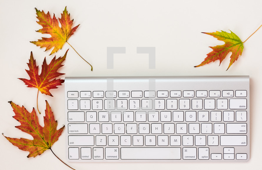 computer keyboard and fall leaves 