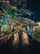 Light Reflection On The Night In Japan 