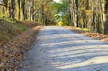 Gravel road through autumn trees and leaves