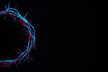 Colored Crown Of Thorns On A Black Background
