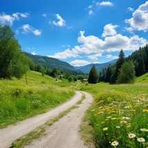 Dirt road through meadow with flowers in the mountains under blue sky