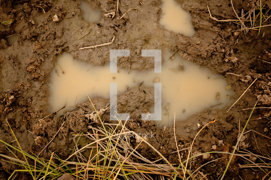 muddy footprint 