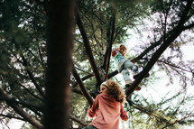 girls climbing a tree