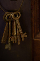 rusty skeleton keys 