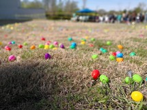 Easter eggs in the grass 