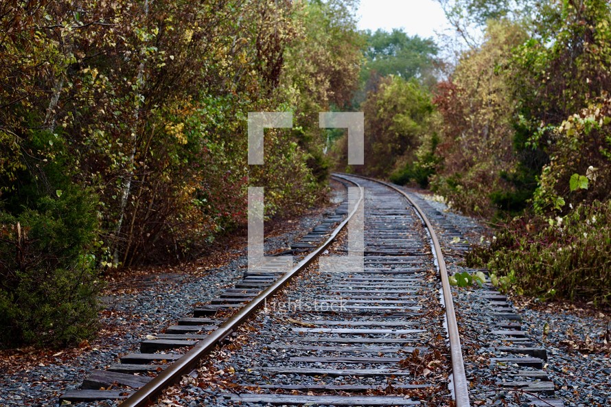 fall train tracks 