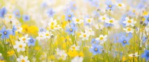 Spring meadow with daisies and forget-me-nots