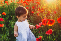 a toddler girl playing in a field of poppies 