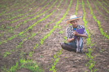 a farmer monitoring growth of crops 