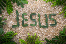 word Jesus in leaves 