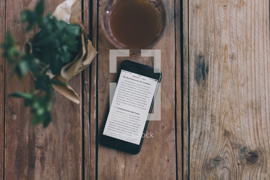 scripture from a Bible app on a cellphone, house plant, and coffee 