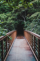 footbridge through a forest 