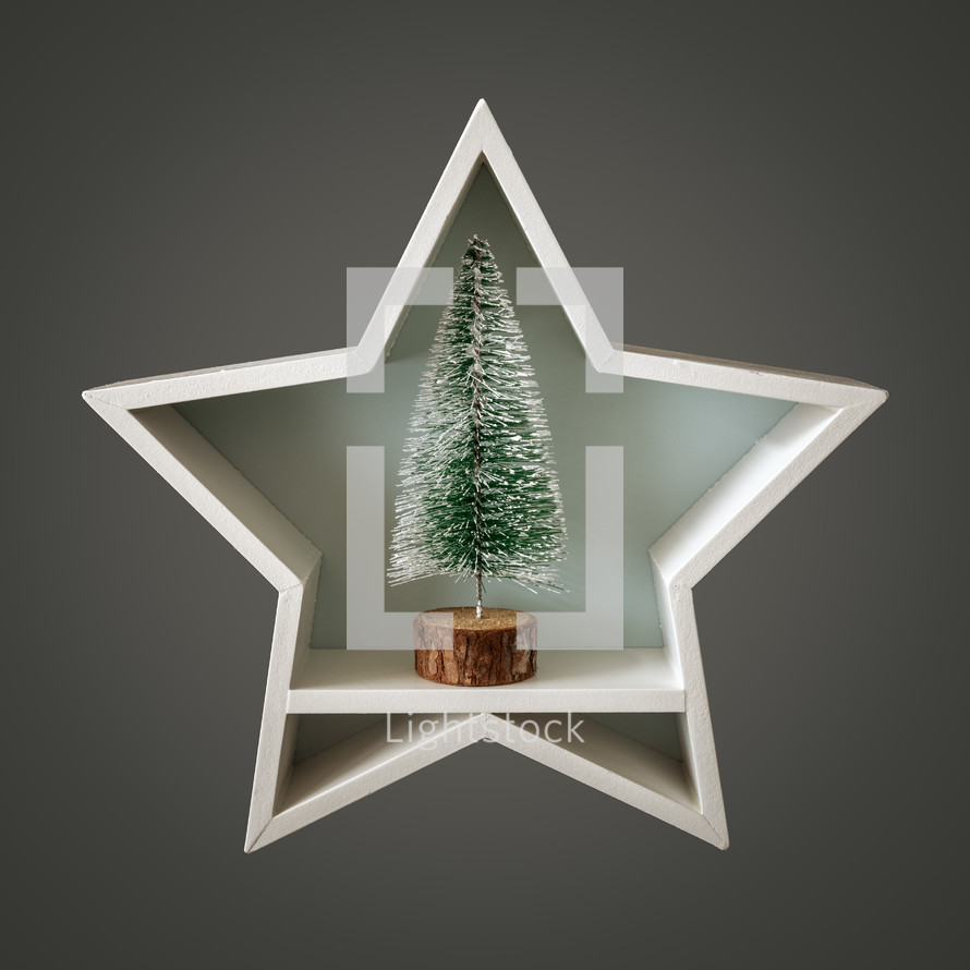 Christmas star with bottle brush Christmas tree 