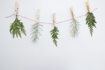 pine branches on a string 