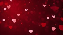 Red Hearts motion and bokeh Greeting love video. Wedding love hearts background.