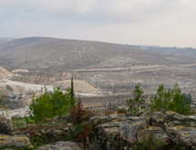 Shepherds’ Field in Bethlehem