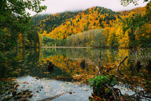 Beautiful autumn forest and tree reflections in the lake