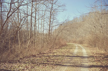 rural dirt road in winter 