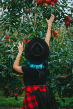 Blue Haired Woman Picking Up Ripe Red Apple Fruits From Tree In Green Garden
