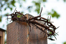 crown of thorns on a post 
