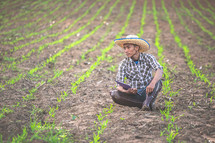 farmer tending the fields with young corn crops 