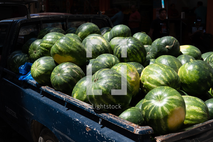 watermelons in the back of a truck 