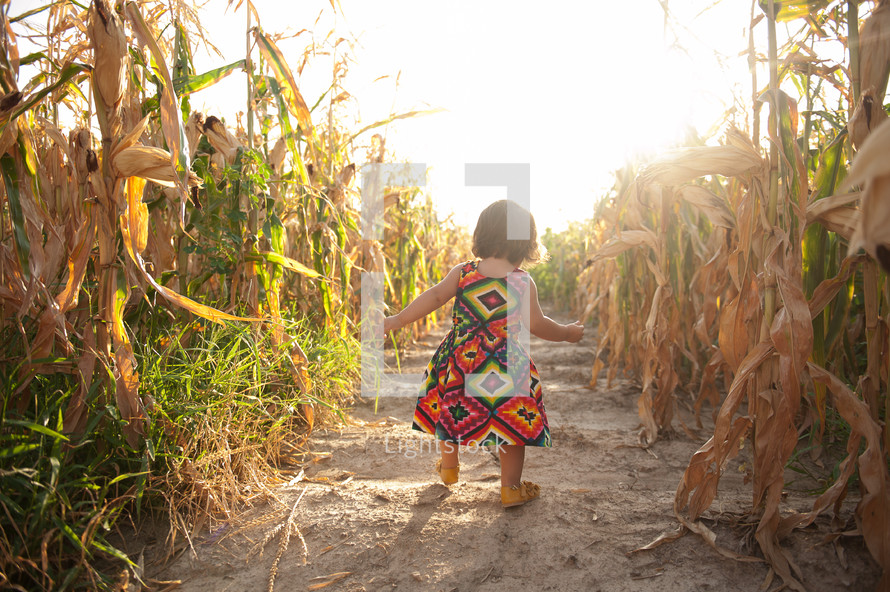 toddler girl walking in a corn field 