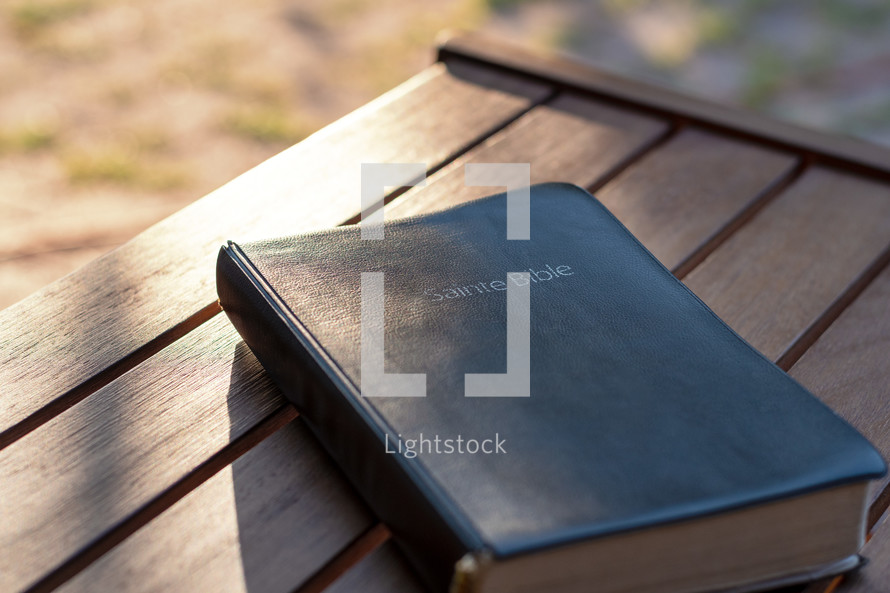 cover of a Bible outdoors 