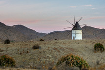 desert windmill 
