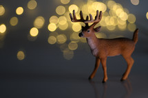 deer and bokeh light 