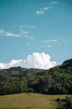 Rural landscape, hills and woodland, forest mountains in France