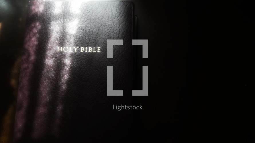 sunlight on the cover of a Holy Bible 