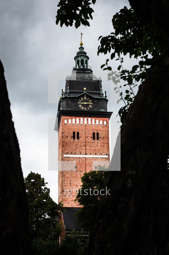 A church steeple seen between the trees.