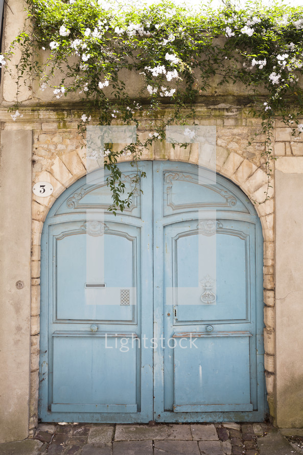 vines hanging over a blue arched door 