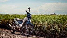 motorcycle parked in front of a corn field 