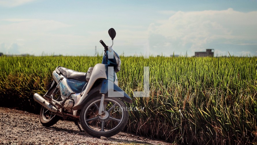 motorcycle parked in front of a corn field 