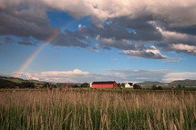 rainbow over farmland 
