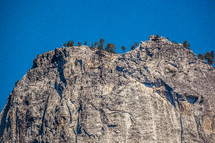 Trees on the top of a mountain cliff.