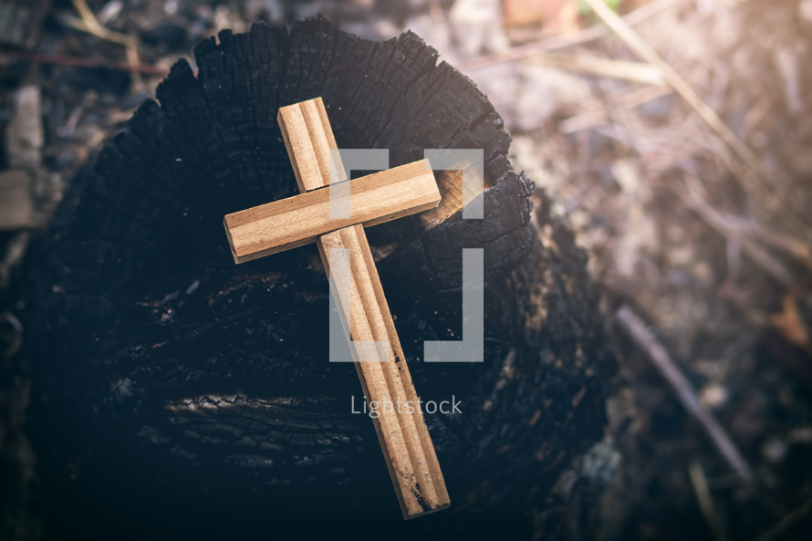 wooden cross on a tree stump 