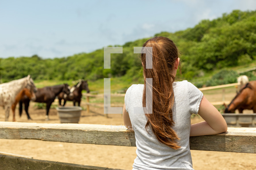 girl watching horses 